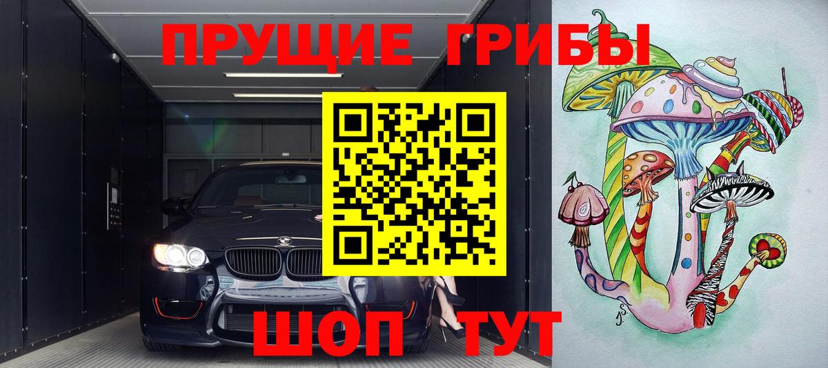Калининград  Псилоцибиновые грибы Psilocybe  Псилоцибиновые грибы мицелий  Вход с VPN 